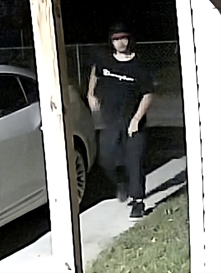 Do you know this trash human? Looks like he needs a job. Thi...