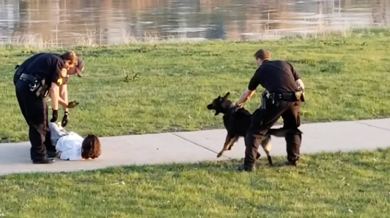 Rest in Peace K9 Cash always enjoyed watching you and your h...