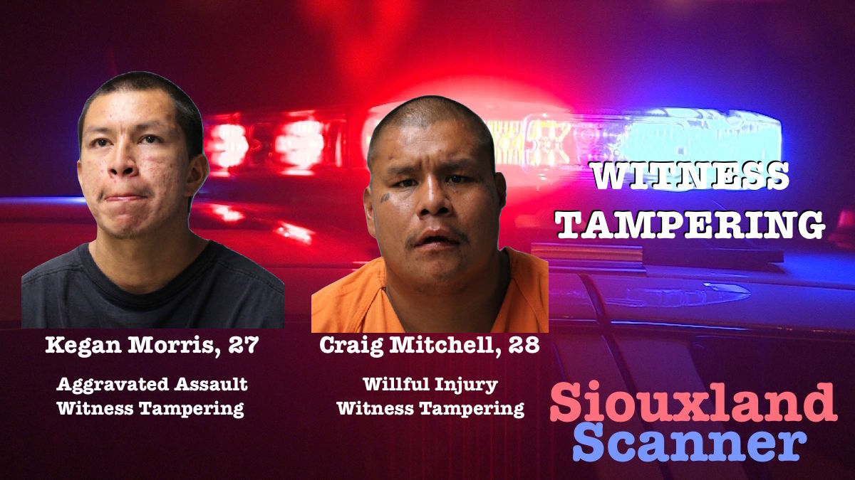 Two arrests made for assault and witness tampering