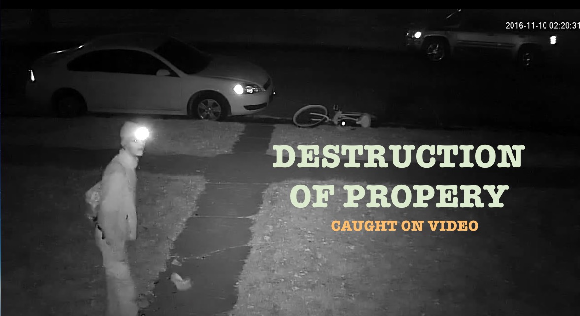 Video shows young male destroying property in Morningside