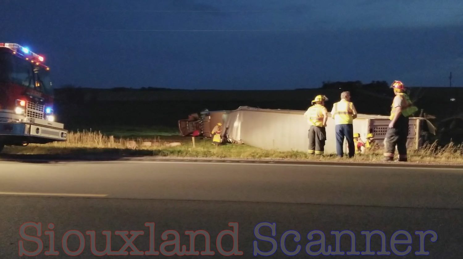 Unlicensed distracted Last Ride Semi driver crashes into bridge and lands in ditch killing 60 hogs