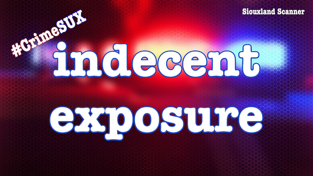 Indecent Exposure while driving