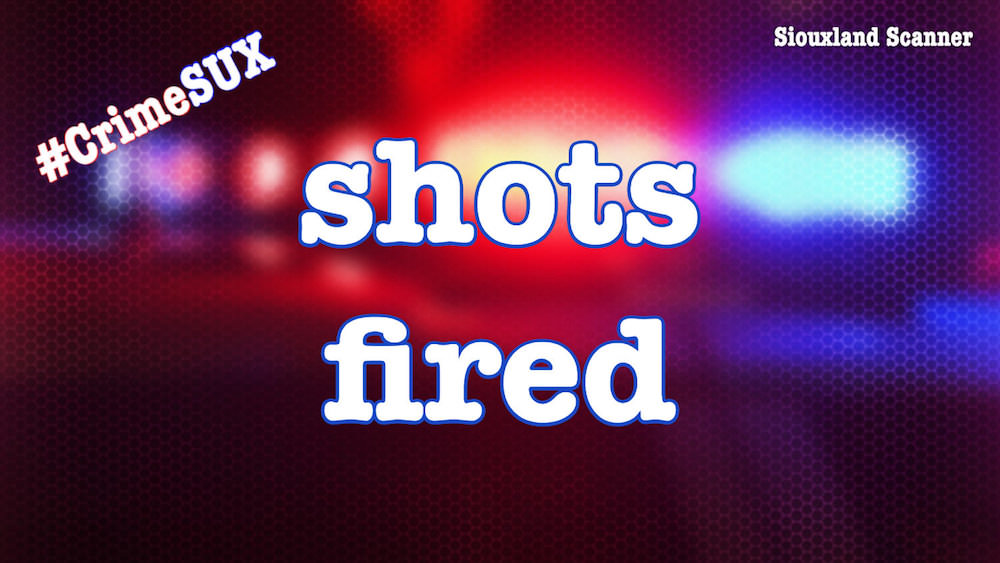 Sioux City Police responded to a home hit by gun fire early Friday morning