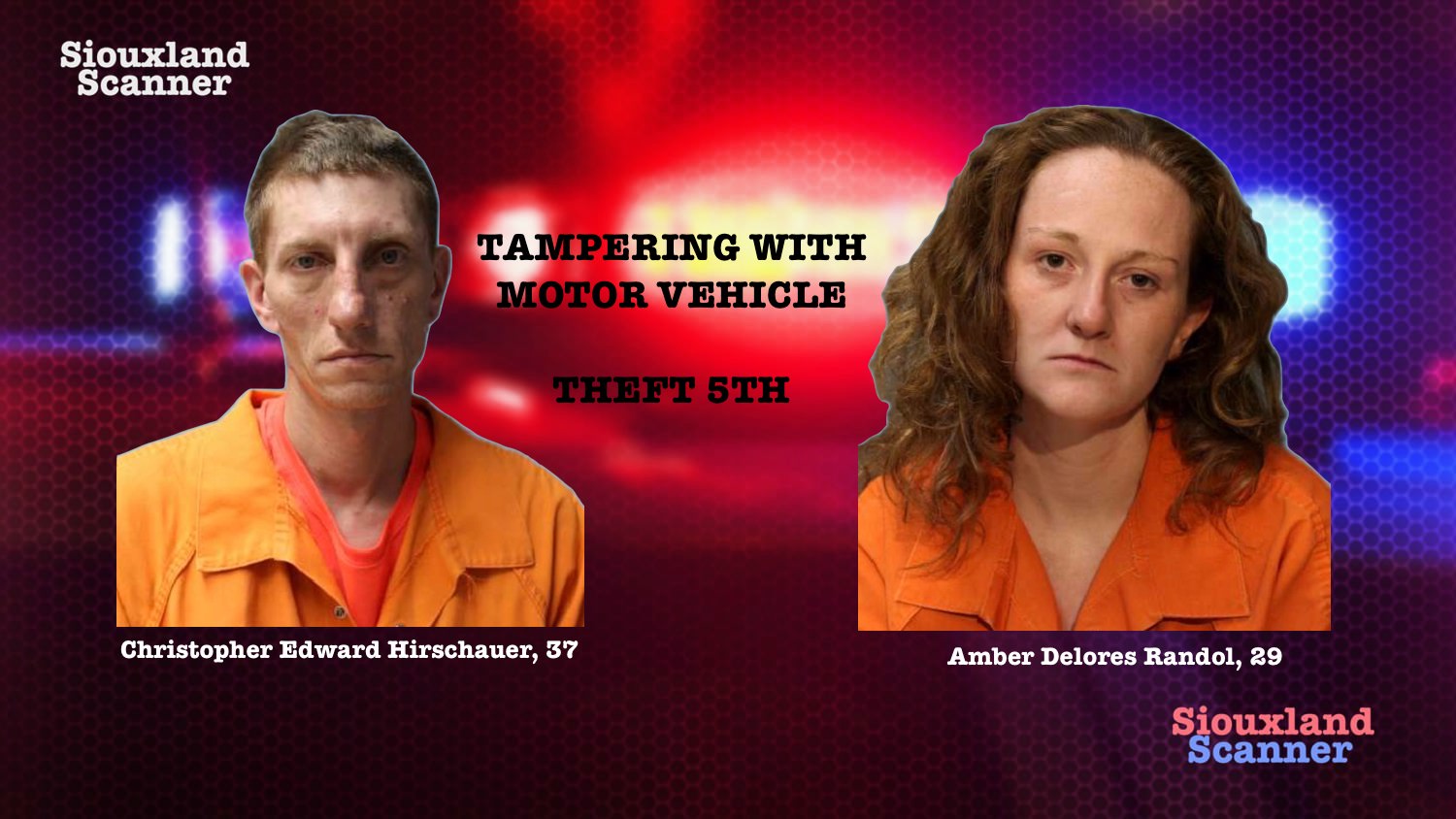 License plate thieves caught in the act later arrested