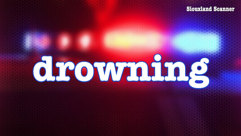 Two juveniles transported to hospital after near drowning at Browns Lake